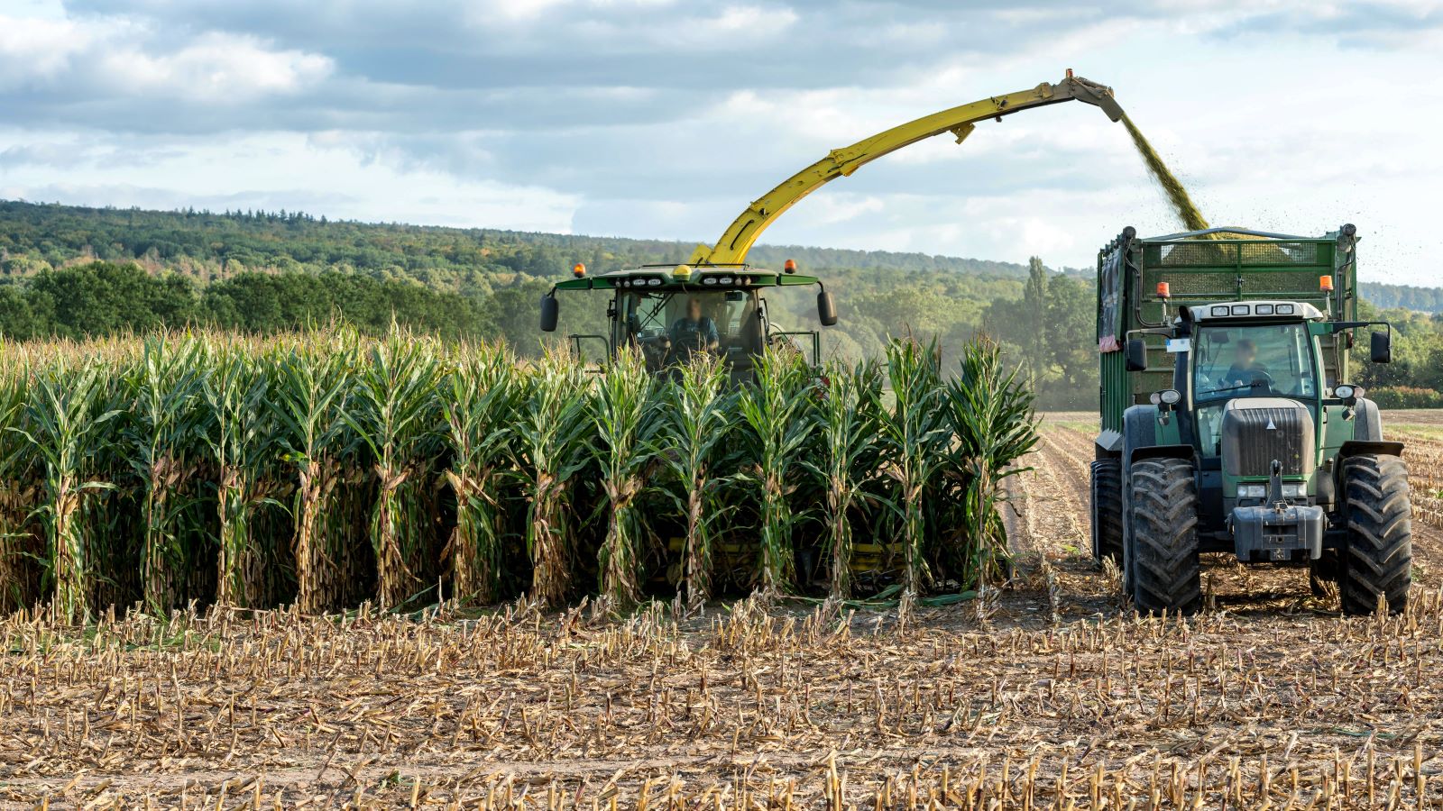 Conoce nuestros programas académicos de pregrados