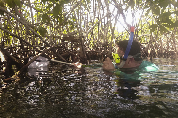 56673182 10156421263028049 7261236272289546240 o