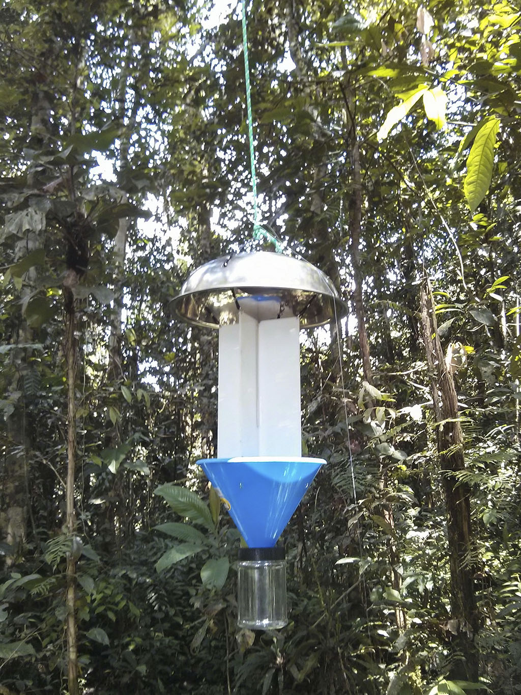 trampa de luz univalluna