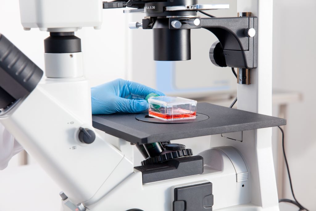 Análisis Especializados