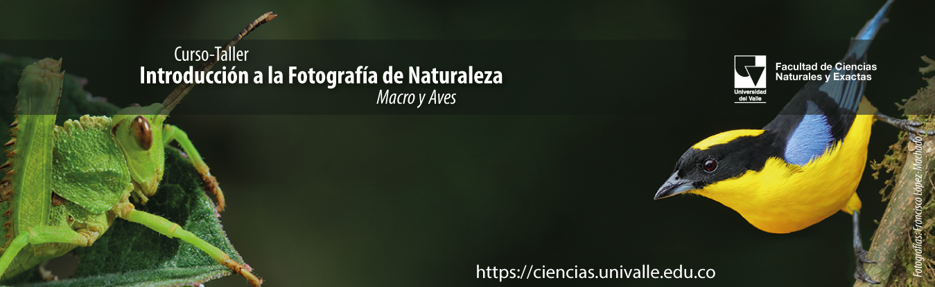 banner curso fotografia