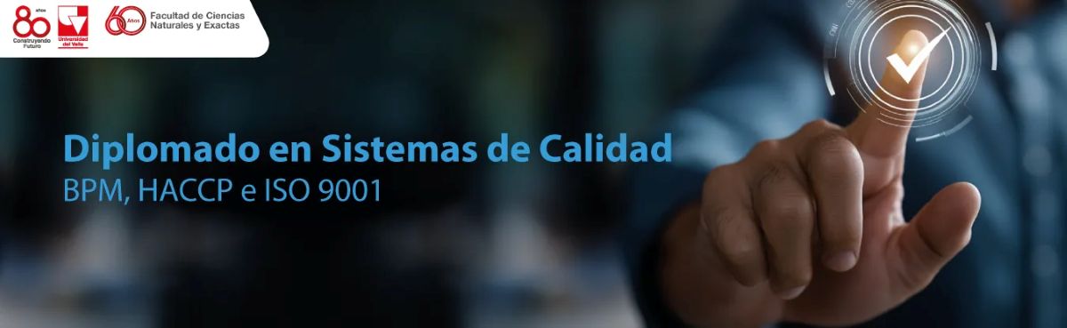 Imagen promocional del diplomado