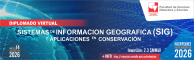 banner_diplomadSig_julio26.png